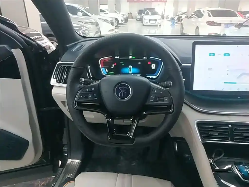 BYD PLUS New Energy 2023 — фото 11