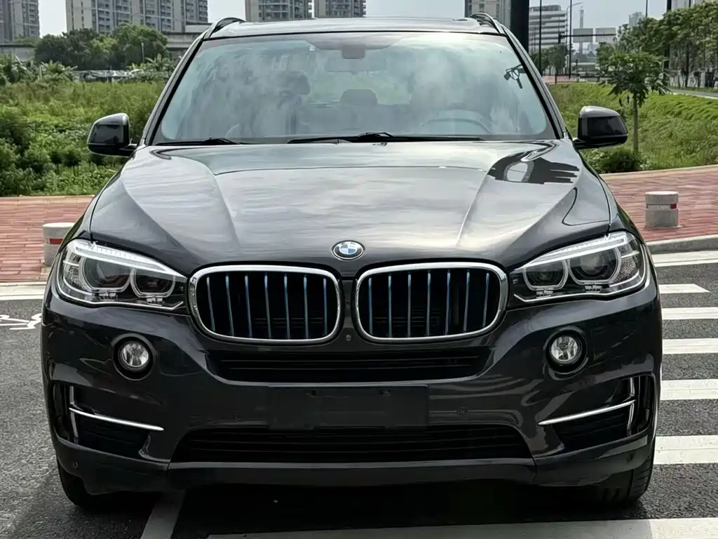 BMW X5 New Energy 2018 — фото 2