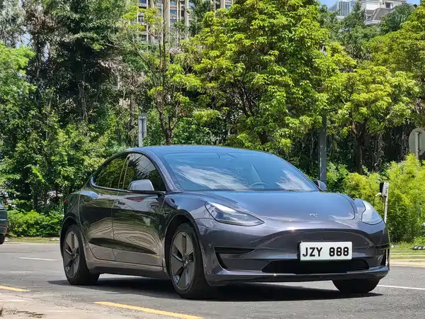 Tesla Model 3 2021