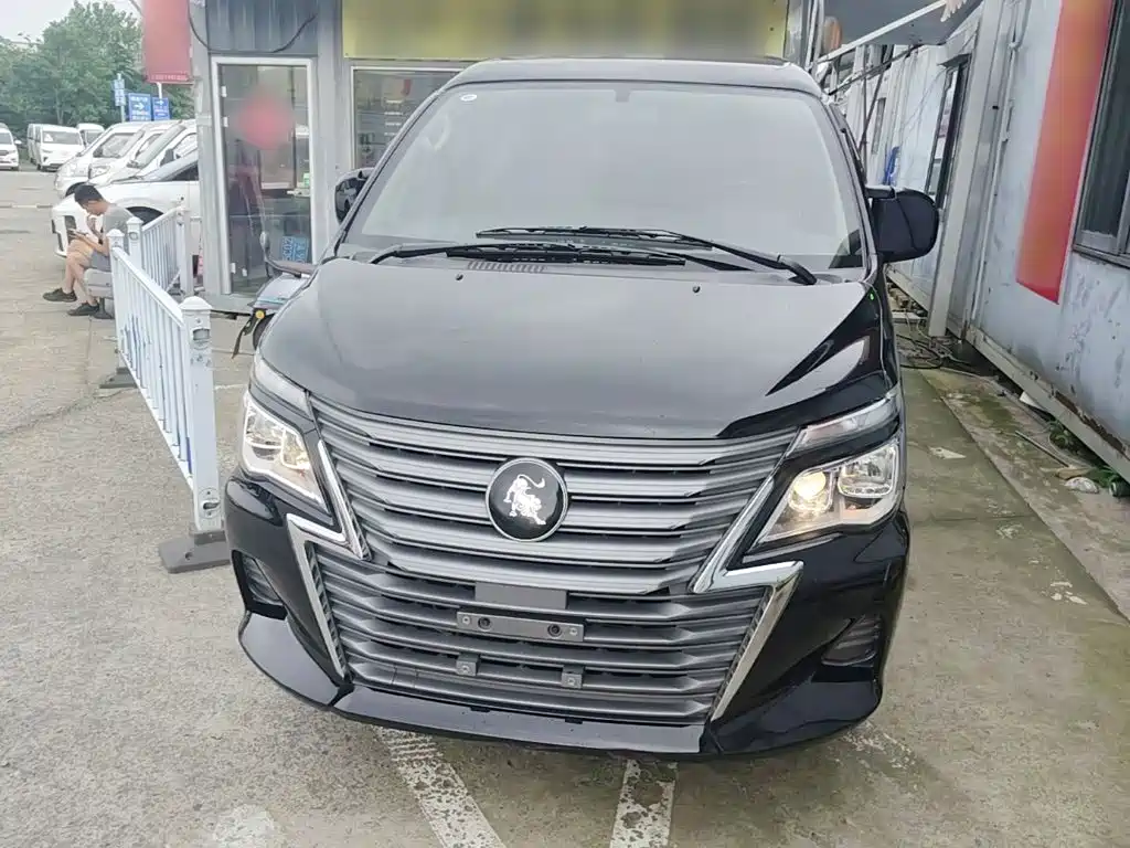 Fengxing Lingzhi 2024