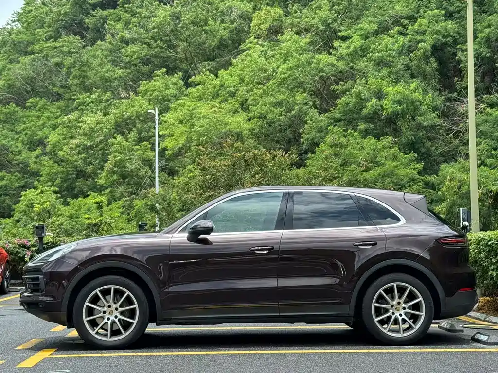 Porsche Cayenne 2019 — фото 8