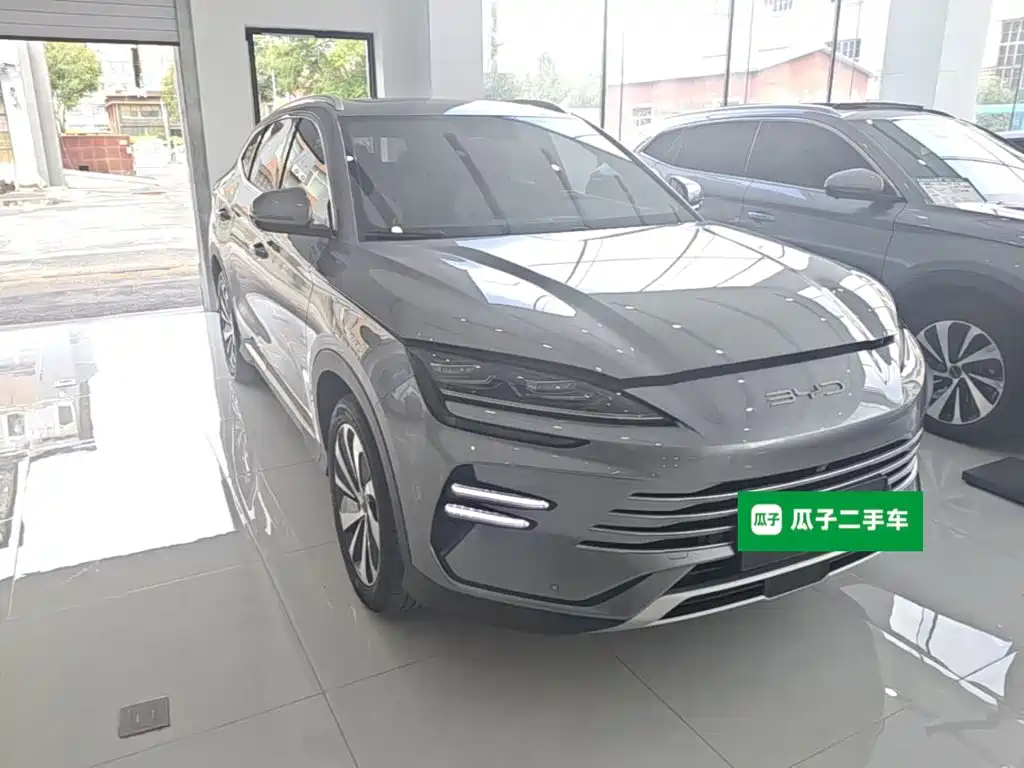 BYD PLUS New Energy 2023 — фото 4
