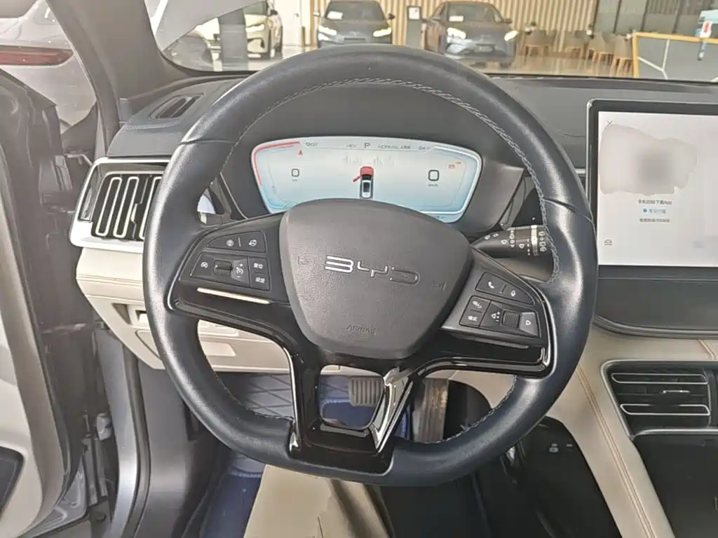 BYD PLUS New Energy 2023 — фото 11