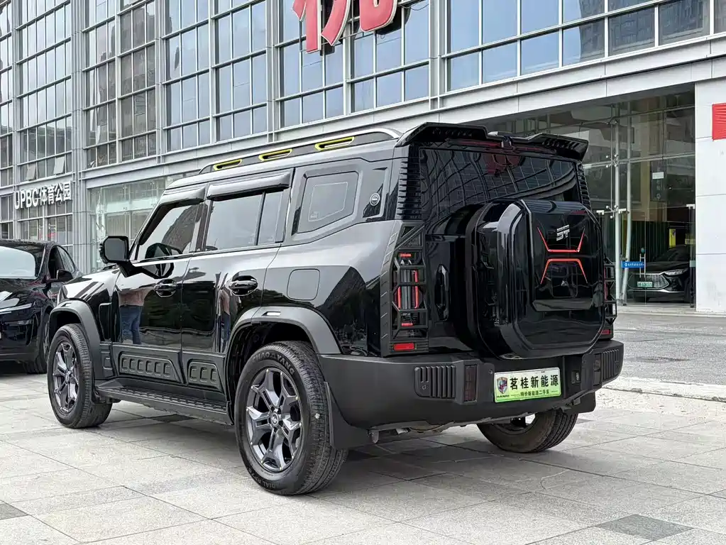 Shanhai Traveller C-DM 2024 — фото 7