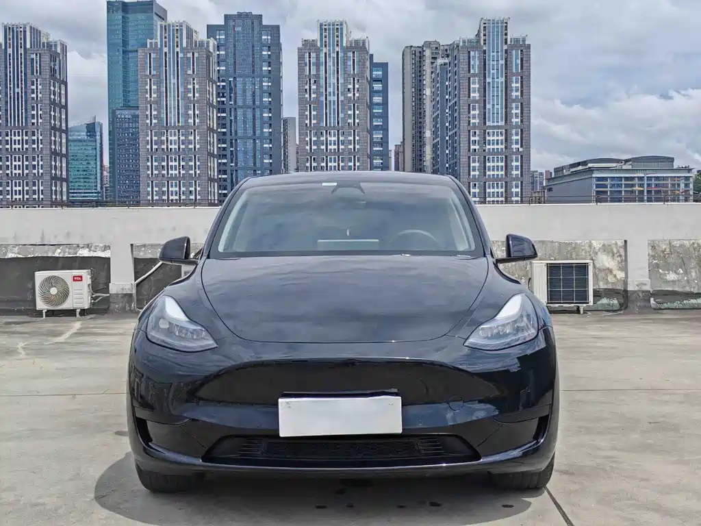 Tesla Model Y 2023 — фото 2
