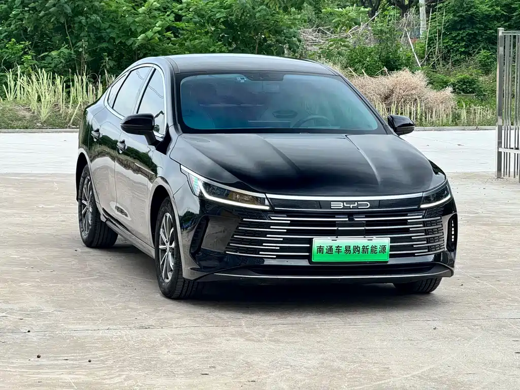 BYD Destroyer 05 2024 — фото 3