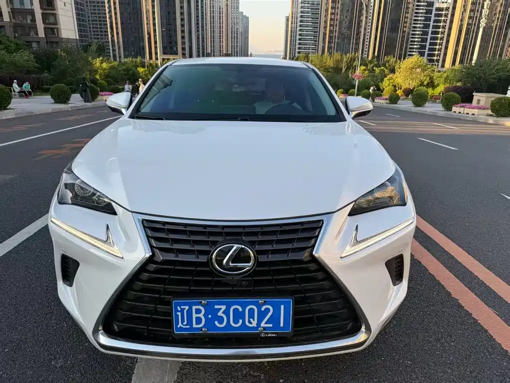 Lexus NX 2020 — фото 2
