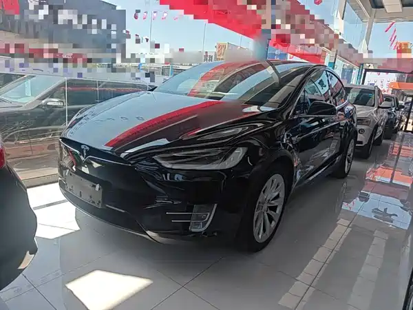 Tesla Model X 2019