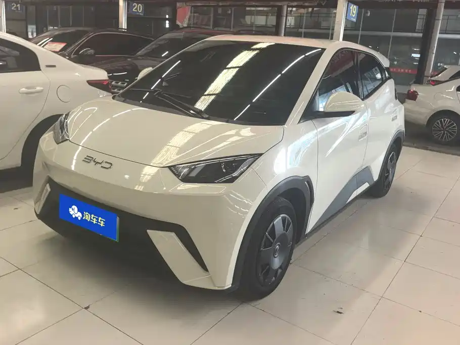 BYD Seagull 2024