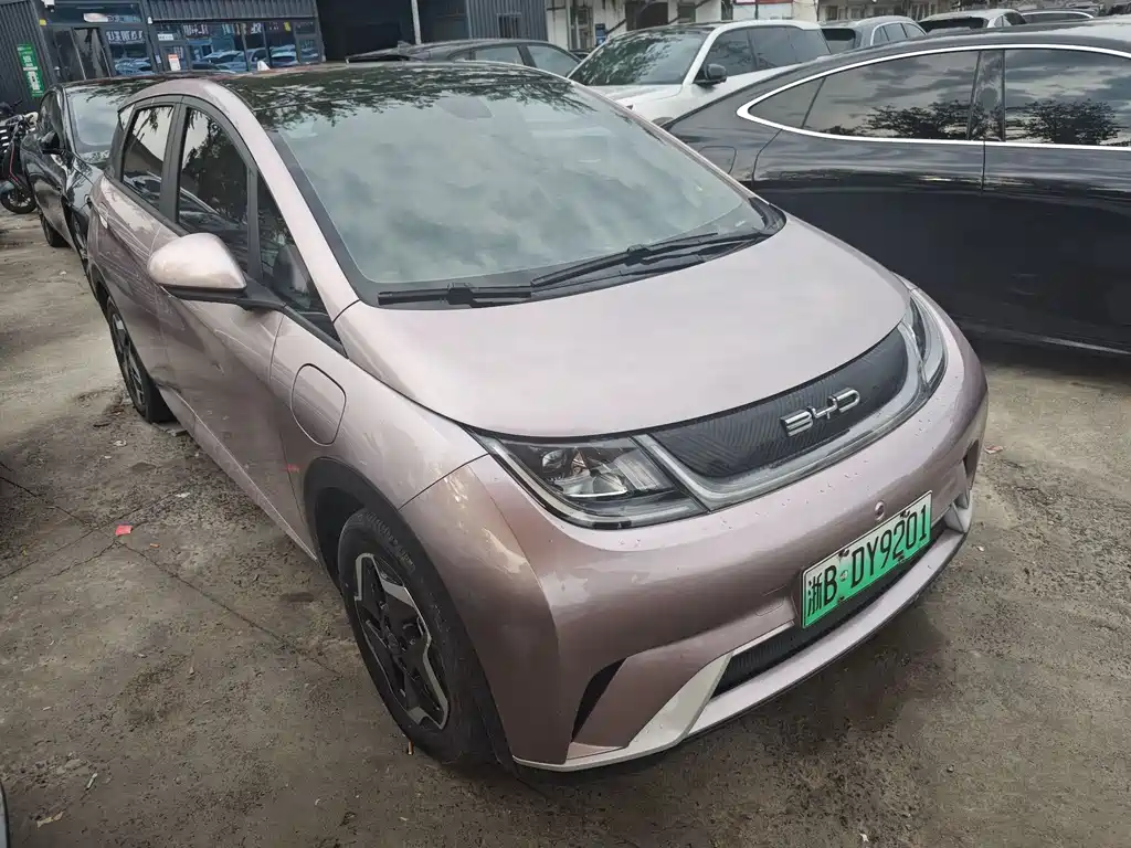 BYD Dolphin 2022