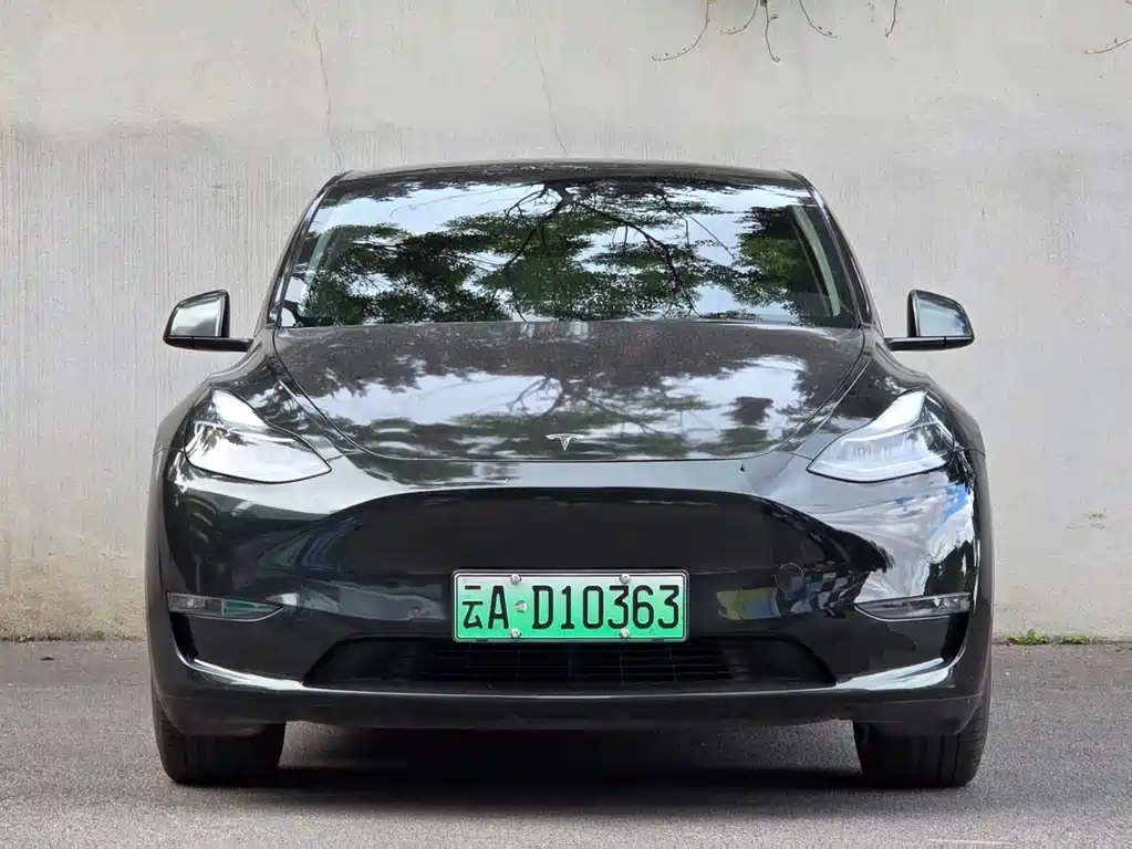 Tesla Model Y 2021 — фото 2