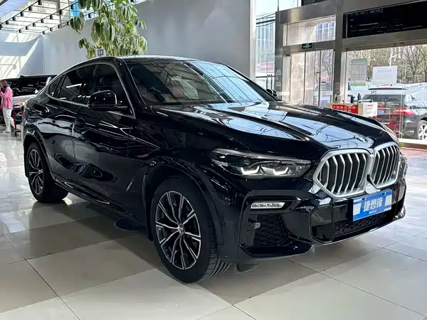 BMW X6 2021