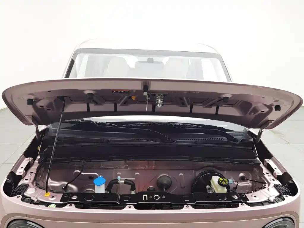 Geely Galaxy Panda 2024