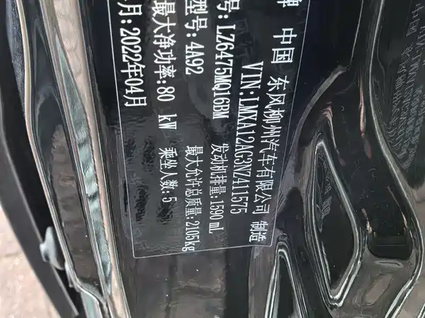 Dongfeng Lingzhi 2022