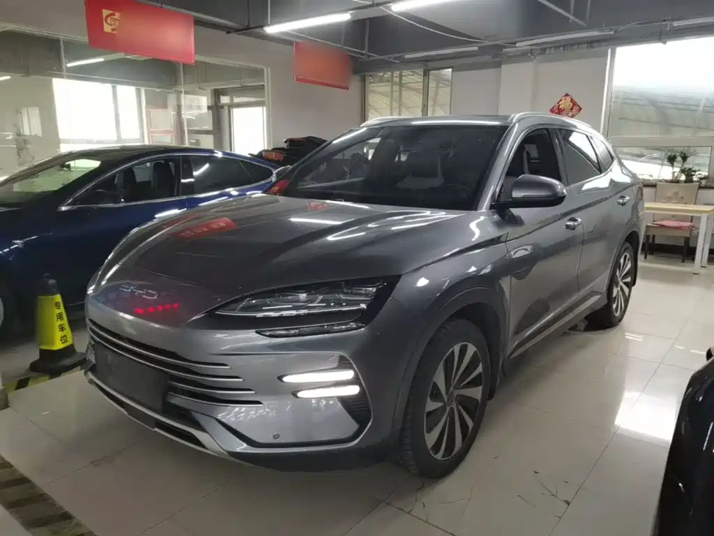 BYD PLUS New Energy 2024 — фото 2