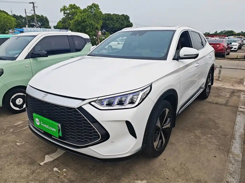 BYD PLUS New Energy 2022 — фото 2