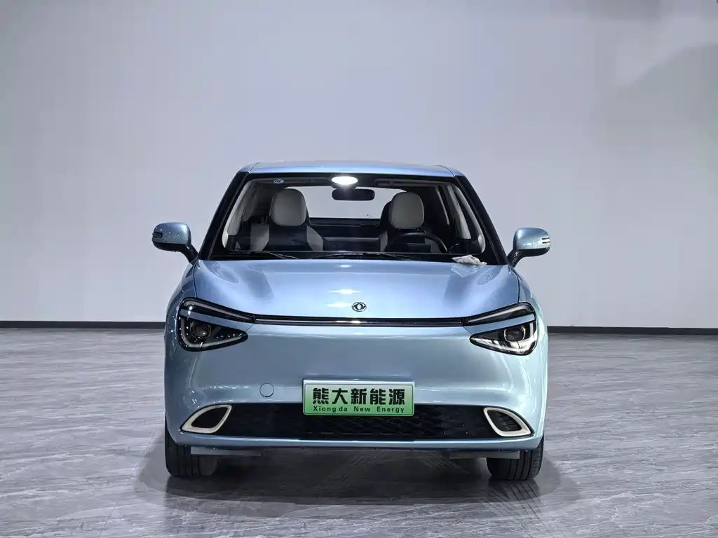 Dongfeng Nano 01 2024
