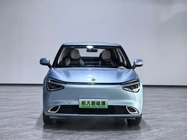 Dongfeng Nano 01 2024