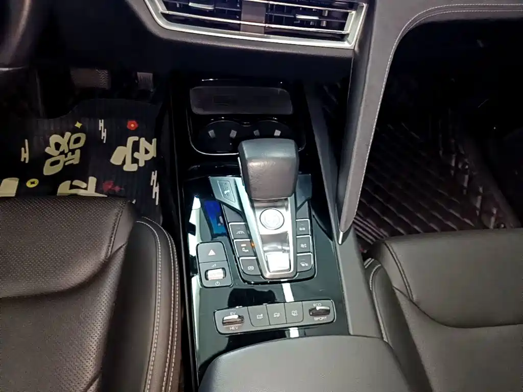 BYD Song Pro New Energy 2019 — фото 14