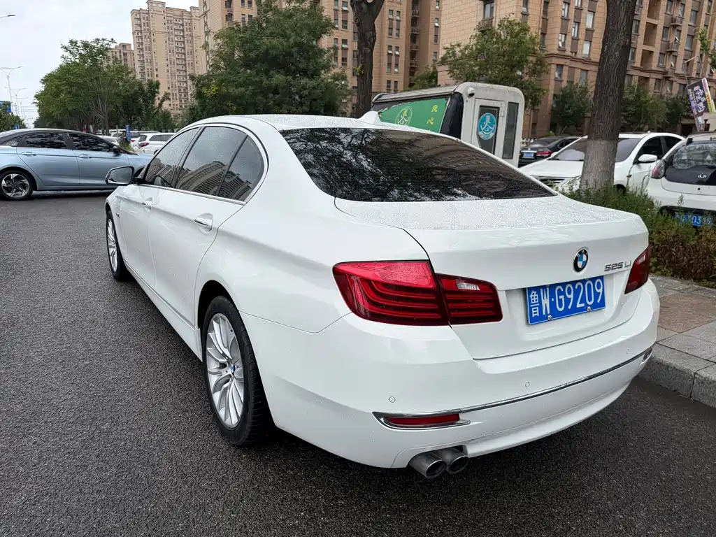 BMW 5 Series 2014 — фото 12