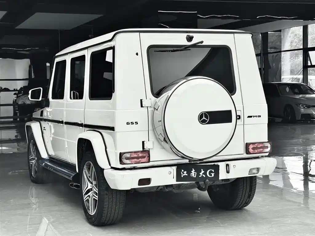Mercedes-Benz G-Class AMG 2009 — фото 19