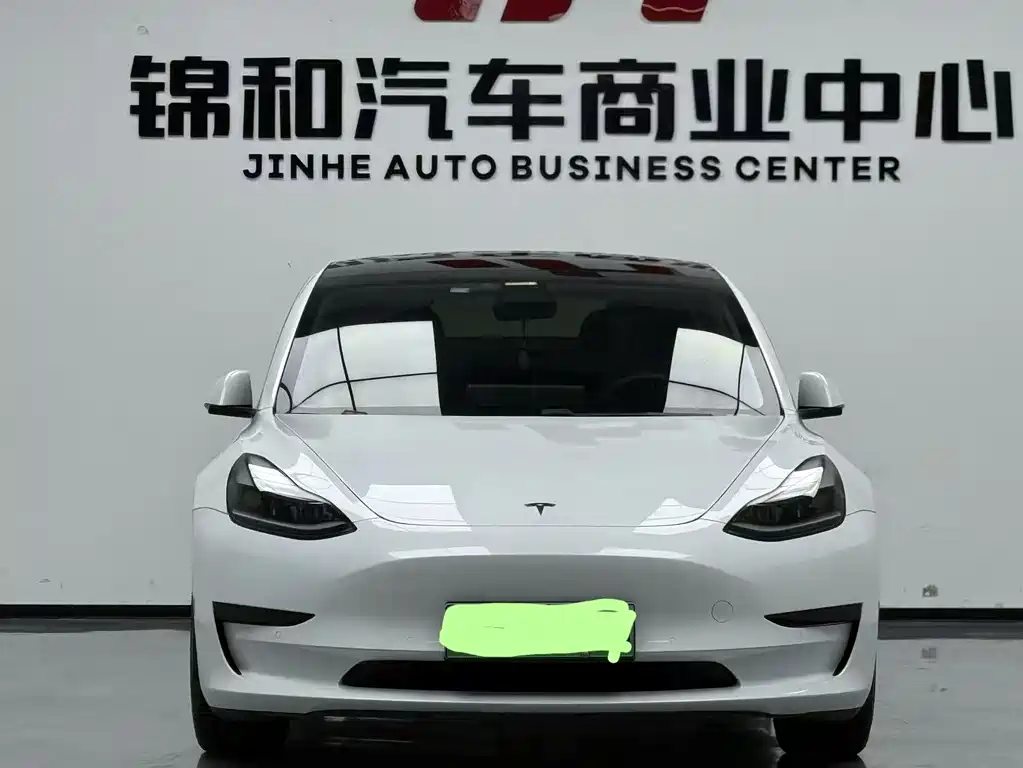 Tesla Model 3 2021 — фото 2