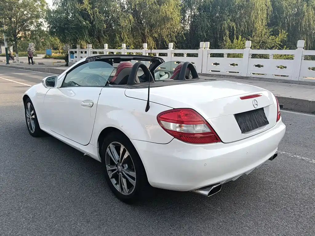 Mercedes-Benz SLK-Class 2010 — фото 6