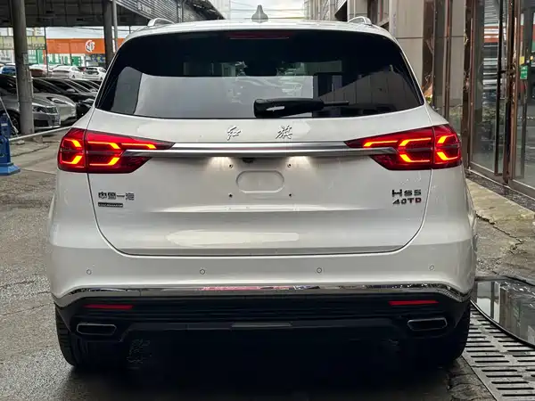 Hongqi HS5 2020