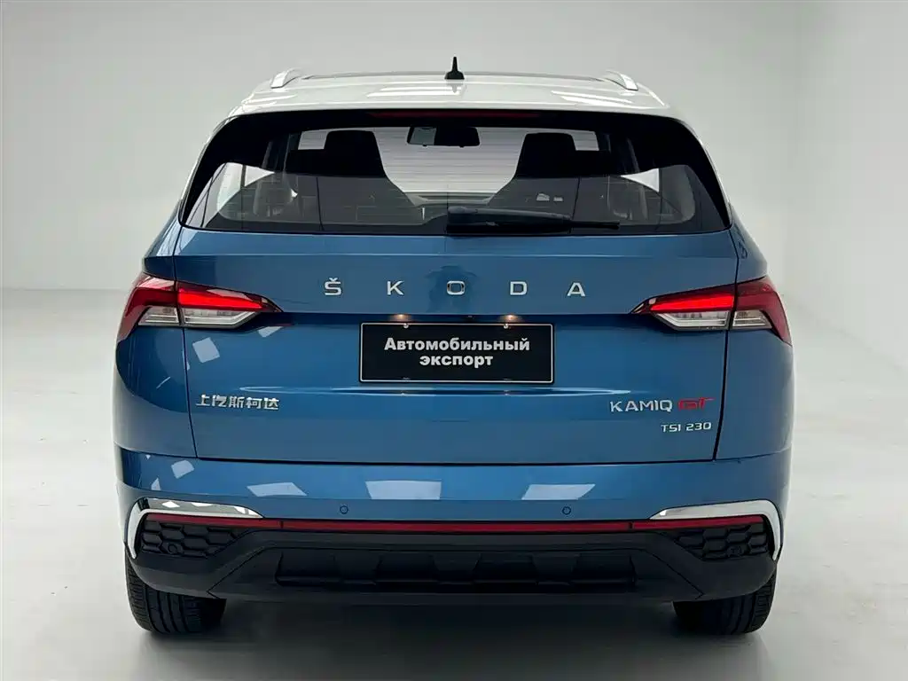 Skoda Kamiq 2020 — фото 19