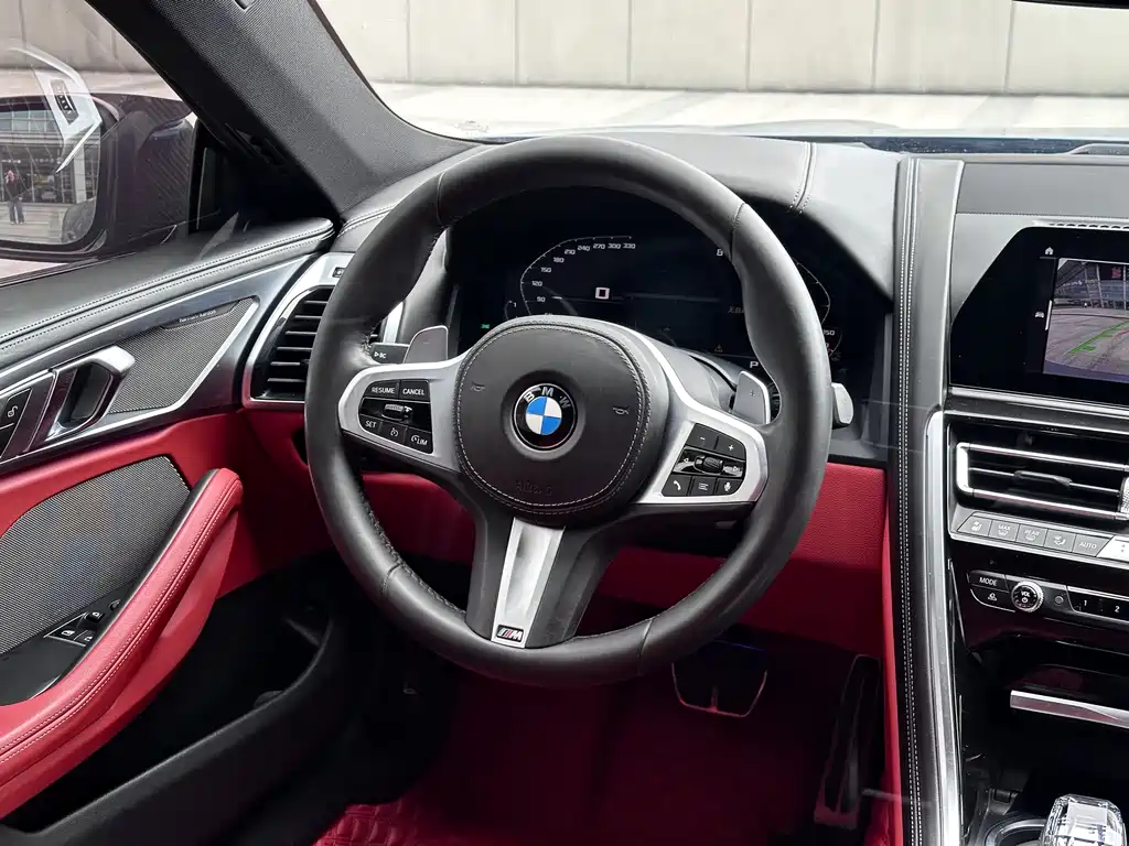 BMW 8 Series 2020 — фото 15
