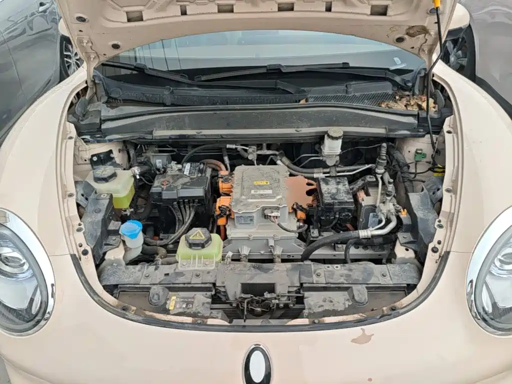 Ora Good Cat 2024 — фото 20