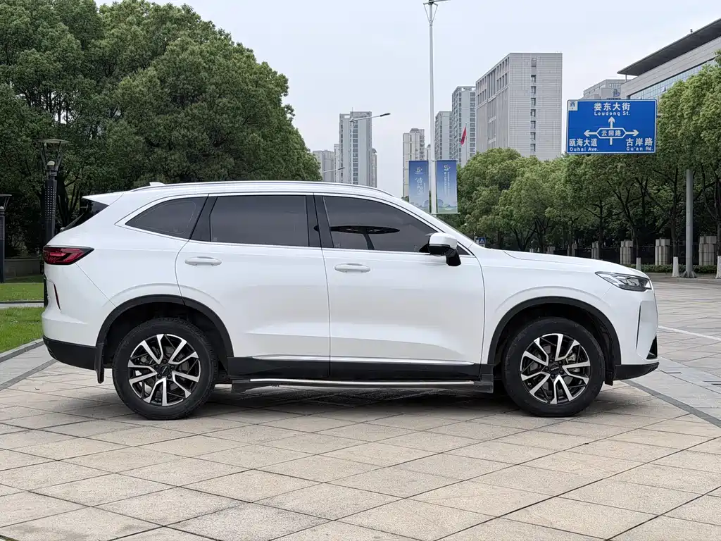 Haval H6 2021 — фото 17