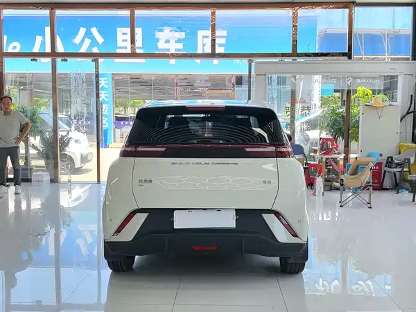 BYD Seagull 2024
