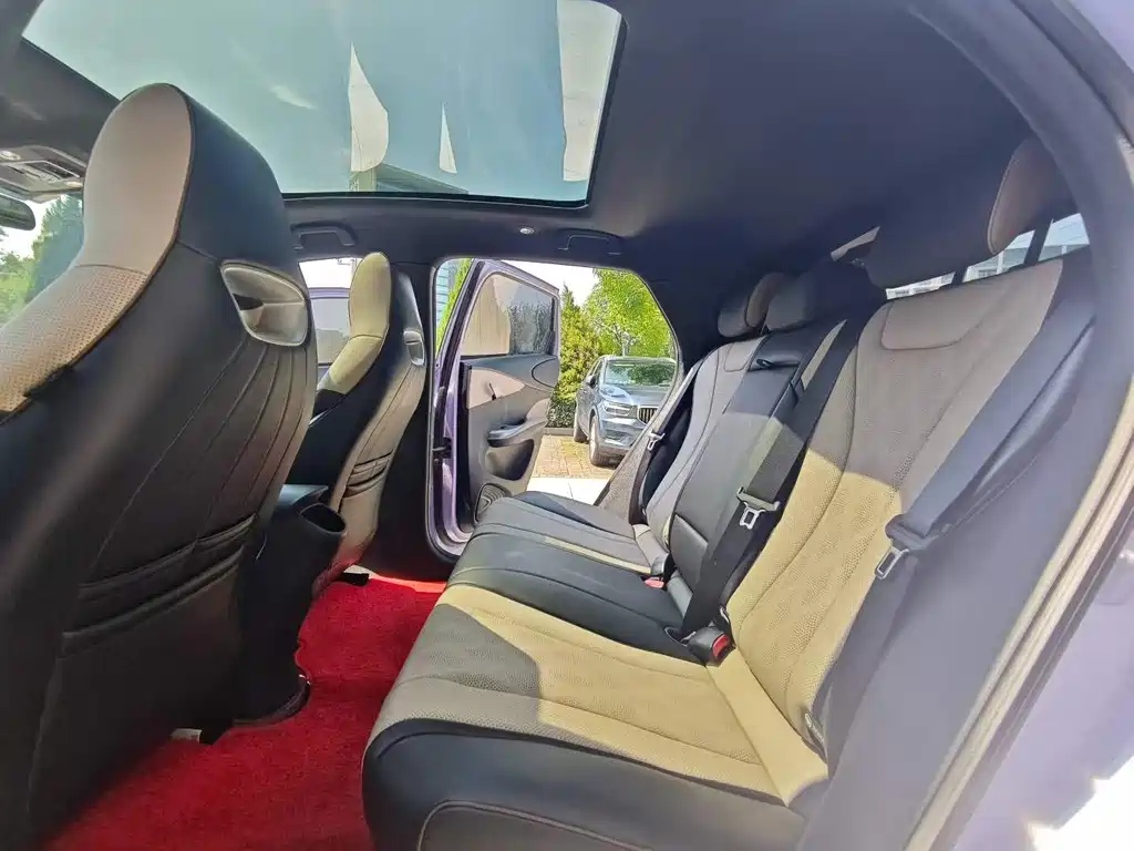 BYD Dolphin 2024