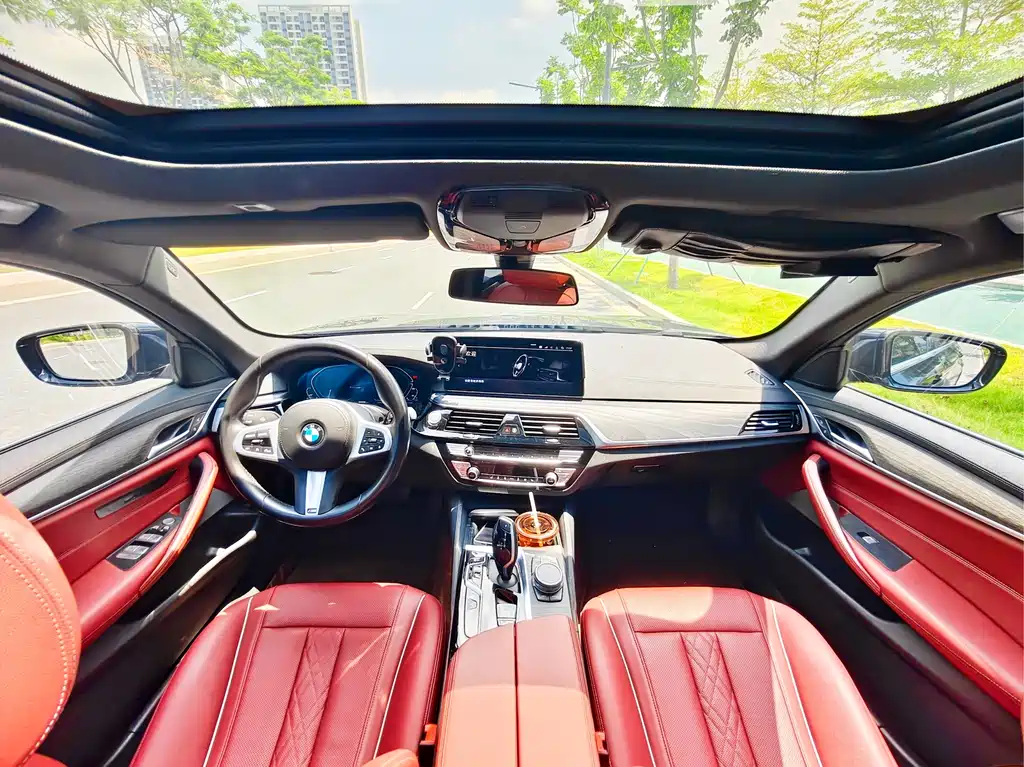 BMW 5 Series New Energy 2021