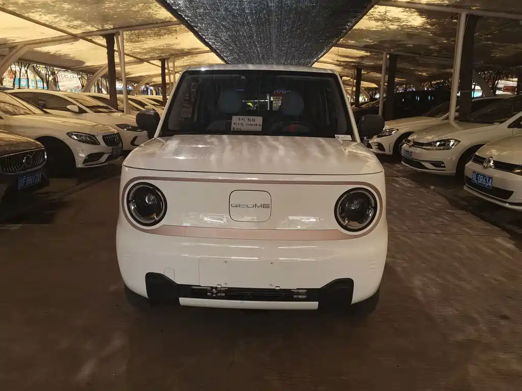 Geely Galaxy Panda 2024