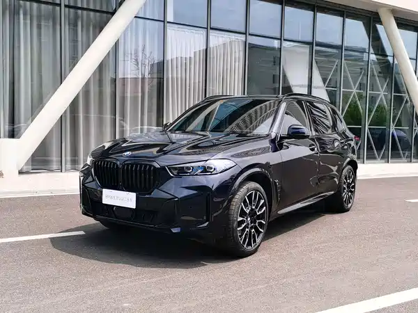 BMW X5 2024