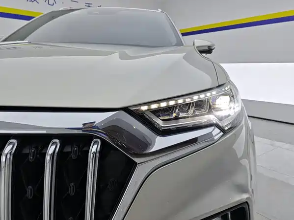 Hongqi HS5 2021