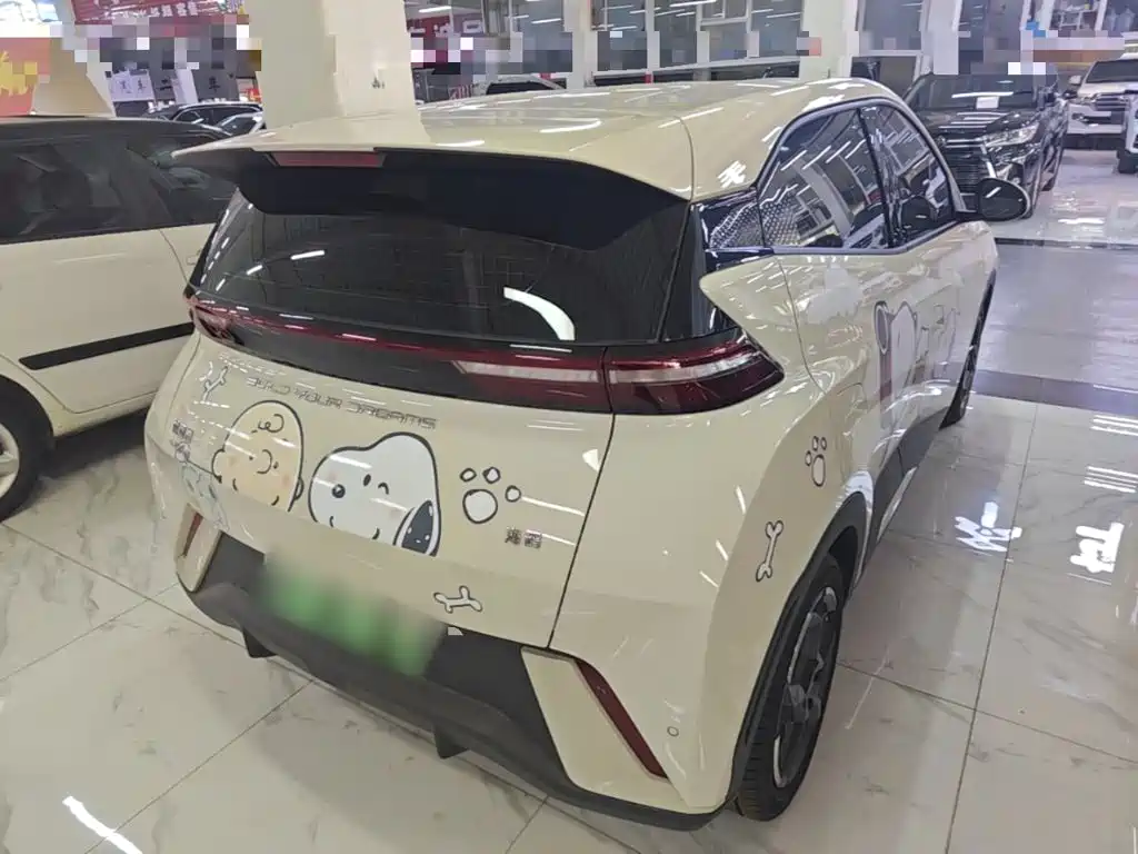 BYD Seagull 2024