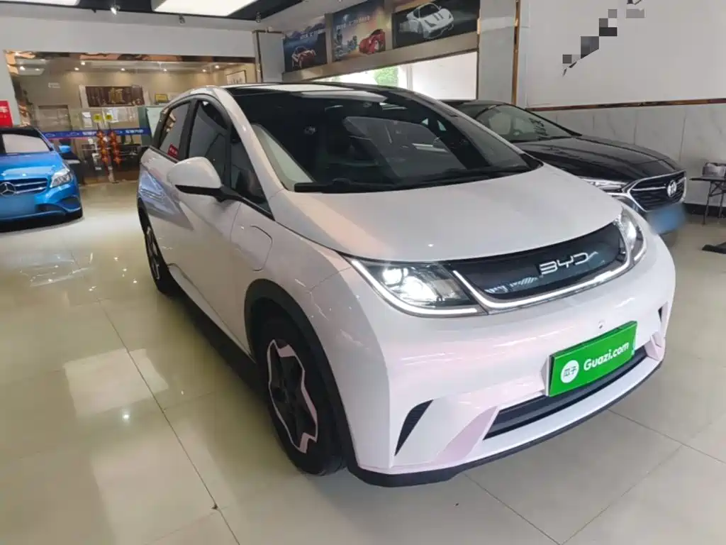 BYD Dolphin 2022