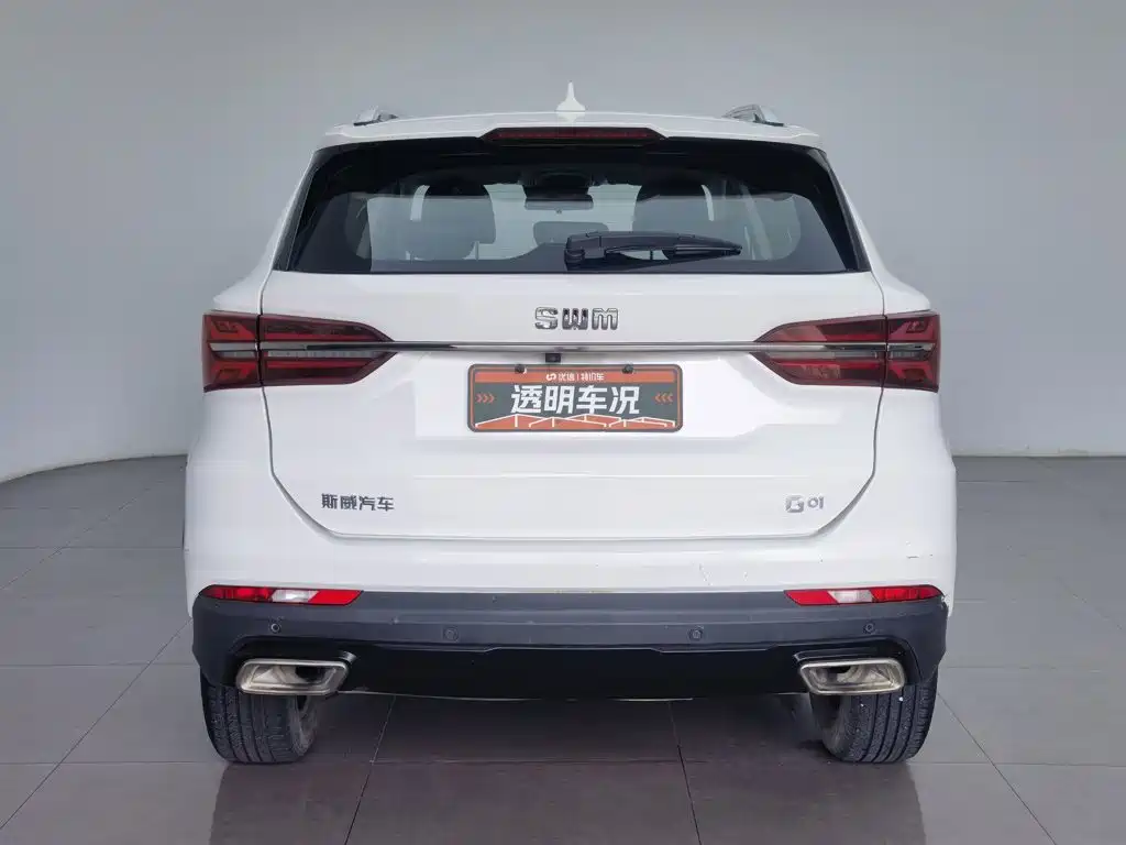 SWM G01 2019