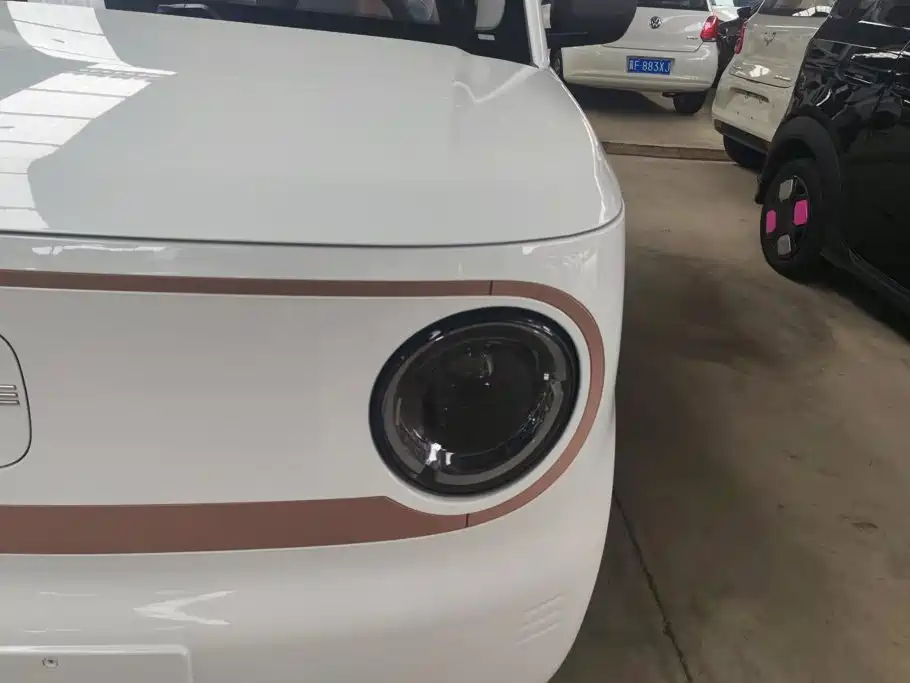 Geely Galaxy Panda 2026