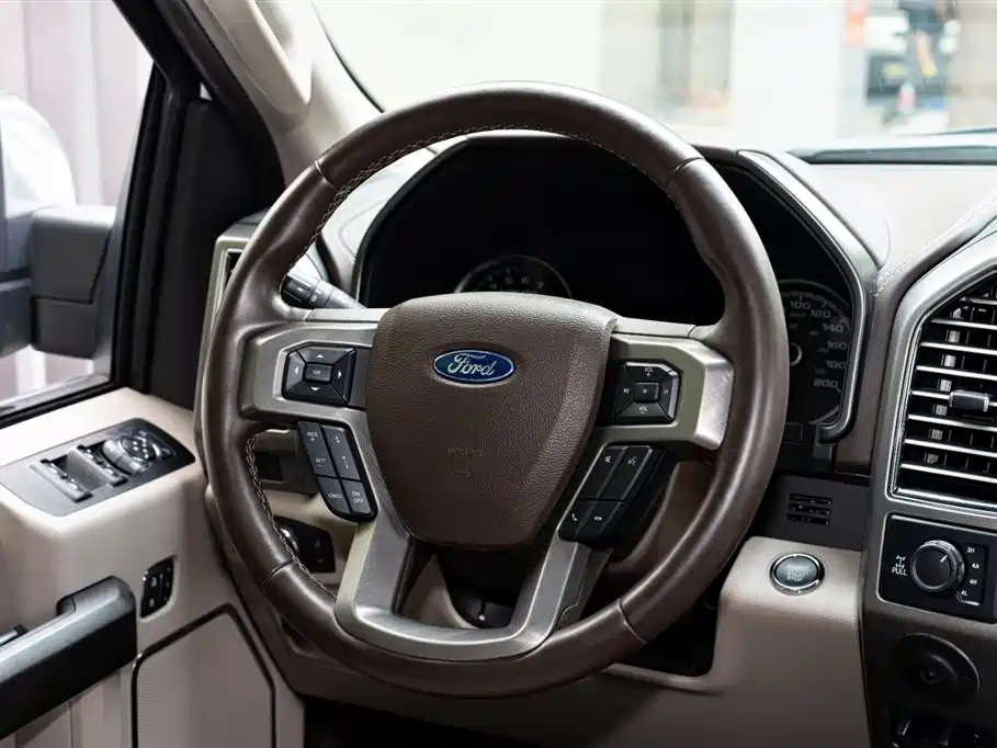 Ford F-150 Raptor 2020 — фото 12