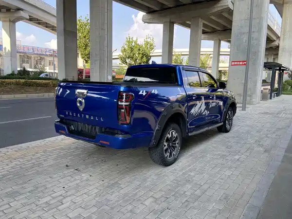 Great Wall Poer 2020