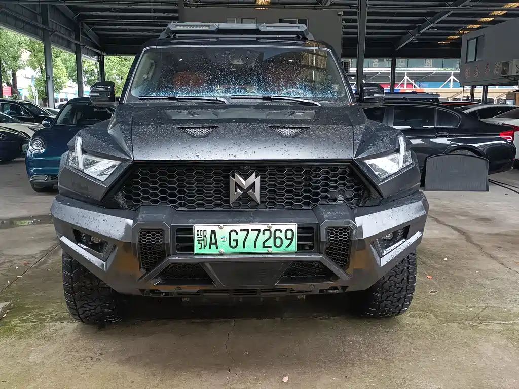 Mengshi 917 2025
