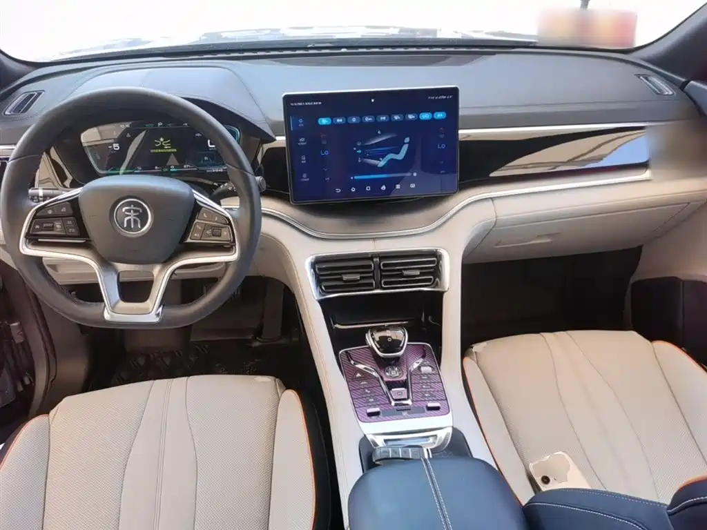 BYD PLUS New Energy 2022 — фото 10
