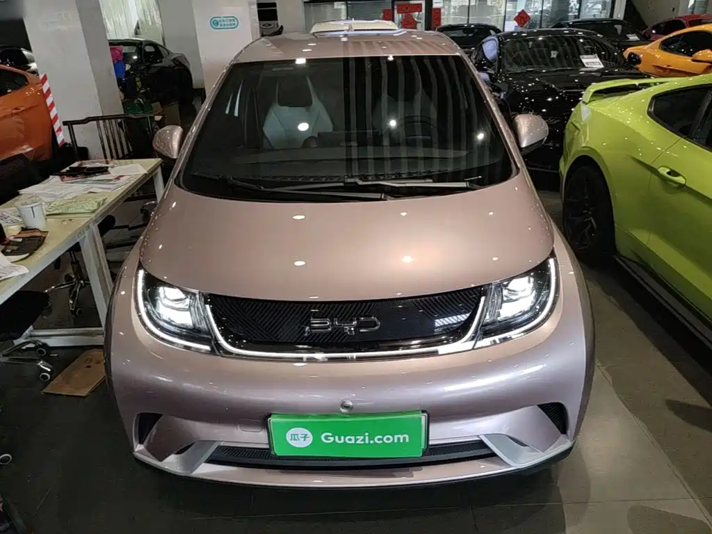 BYD Dolphin 2024