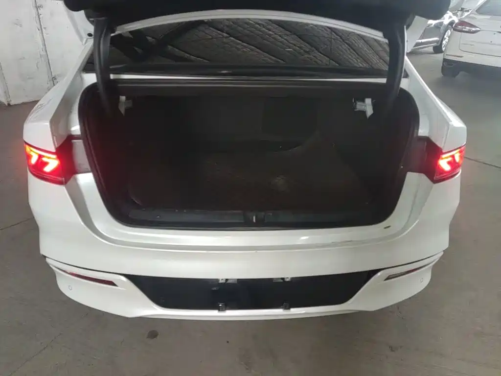 BYD Qin PLUS 2023 — фото 19