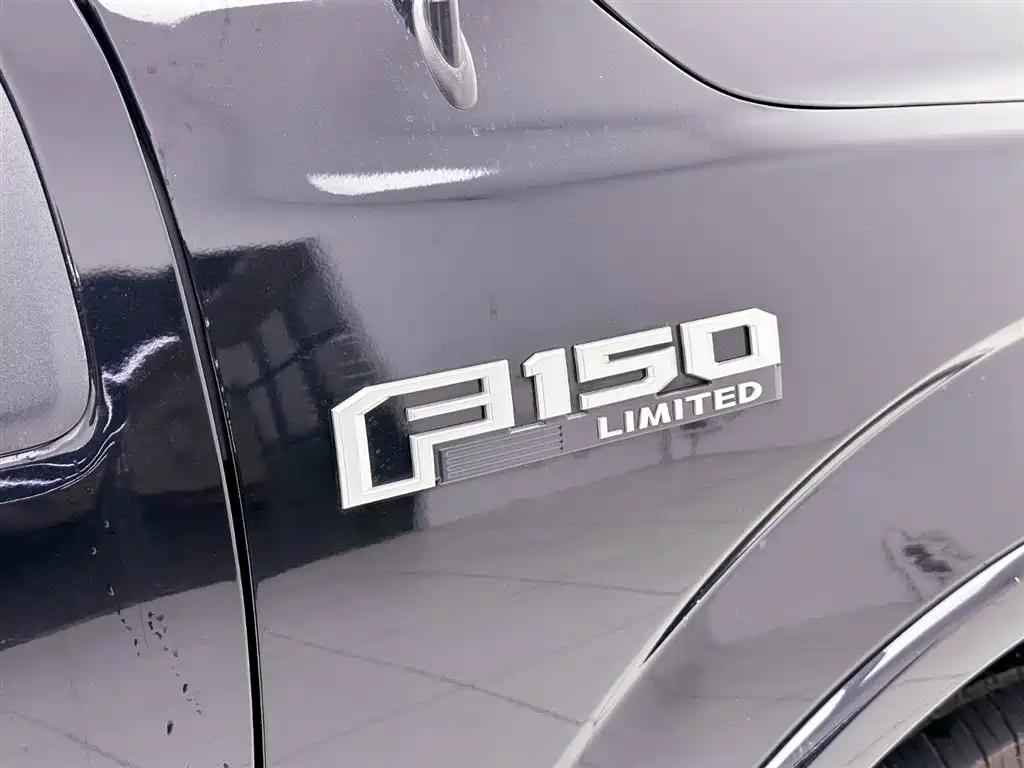 Ford F-150 Raptor 2020 — фото 14