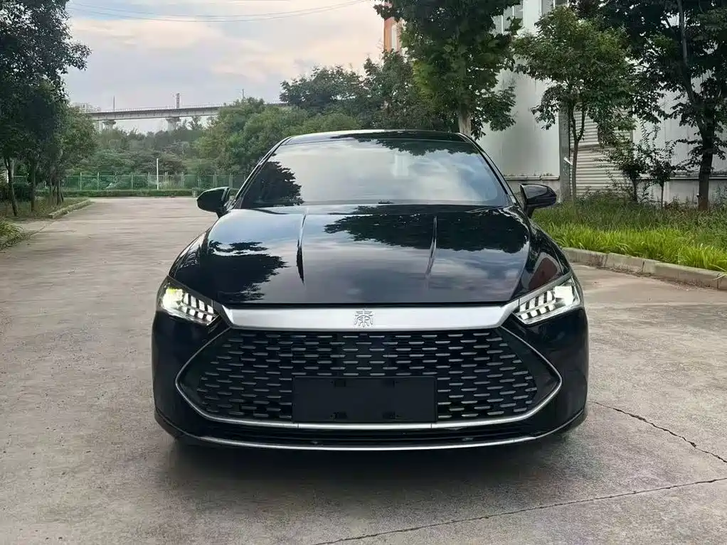 BYD Qin PLUS 2024 — фото 10